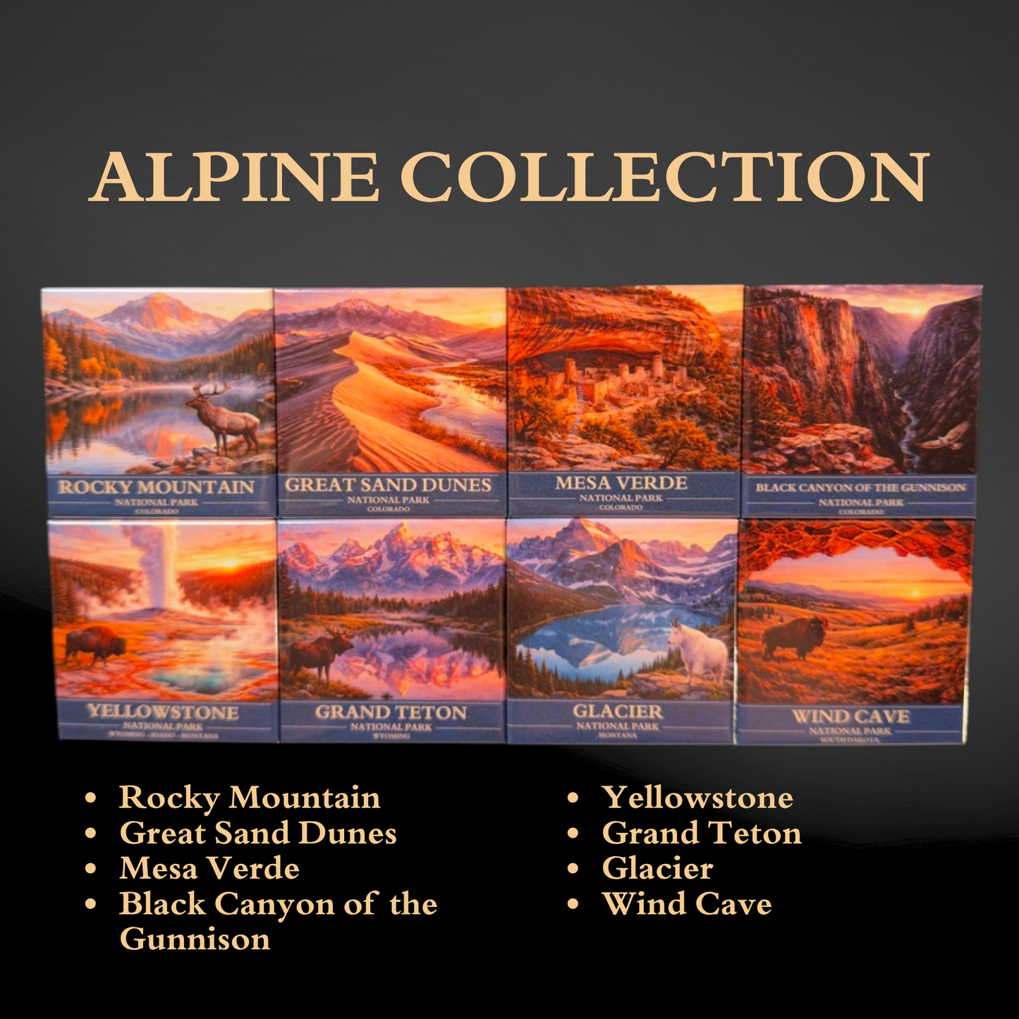 U.S. National Parks Magnet Collection