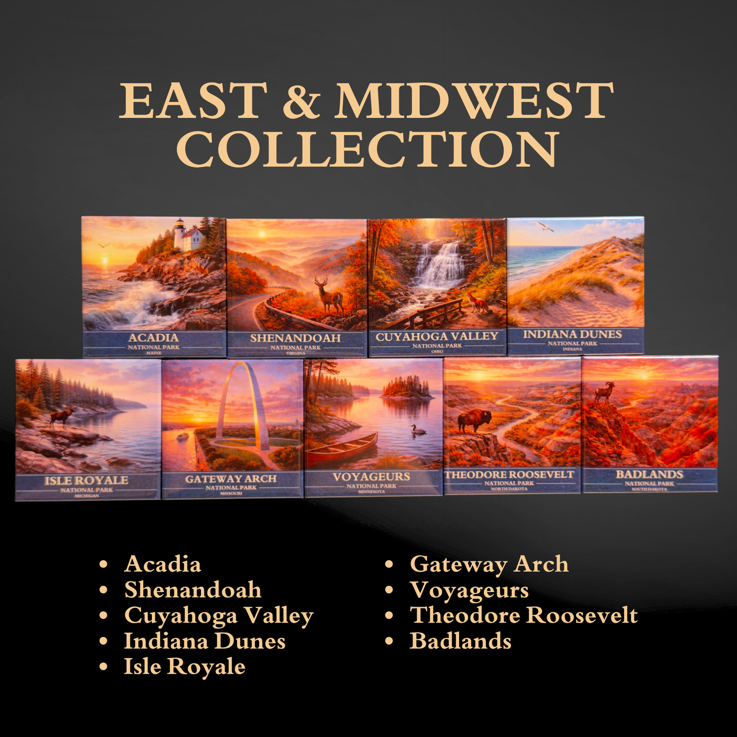 U.S. National Parks Magnet Collection
