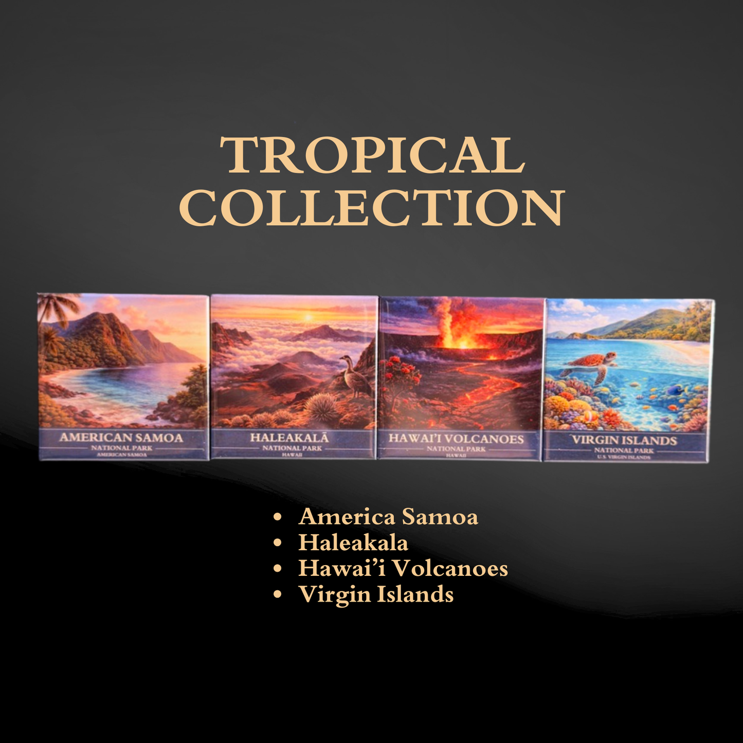 U.S. National Parks Magnet Collection